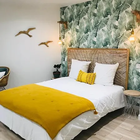 Apartment Cocon Douillet Face A La De Sur