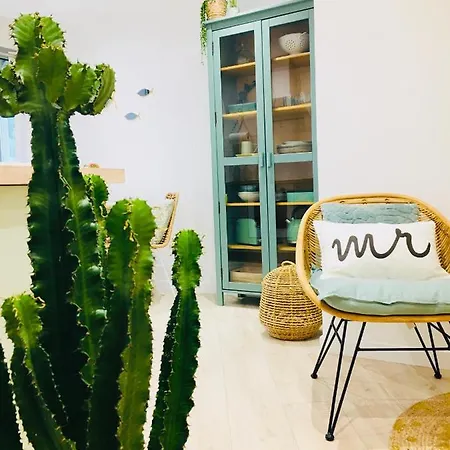 Apartment Cocon Douillet Face A La De Sur